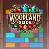 Woodland Slide